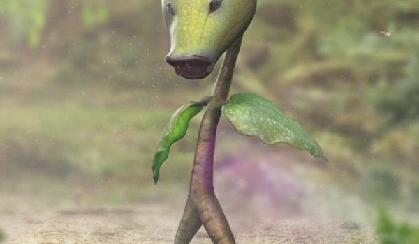 bellsprout-real